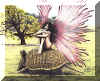 bild003.jpg (41961 Byte)
