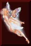 bild004.jpg (5219 Byte)