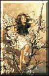 bild005.jpg (18493 Byte)