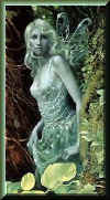 bild021.jpg (28292 Byte)