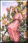 bild026.jpg (14560 Byte)