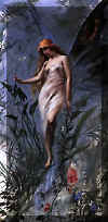 bild033.jpg (23559 Byte)