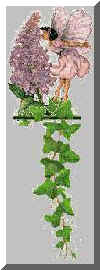 bild037.jpg (6879 Byte)