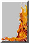 bild039.jpg (8987 Byte)