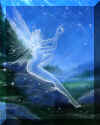 bild042.jpg (131876 Byte)