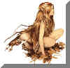 bild044.jpg (14227 Byte)