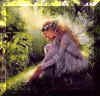 bild054.jpg (15255 Byte)
