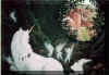 bild165.jpg (15186 Byte)
