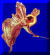 bild176.jpg (7749 Byte)