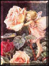 bild205byMaryBarker.jpg (12042 Byte)