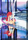 bild208.jpg (42455 Byte)