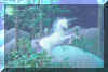 e089.jpg (29458 Byte)