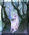 e095.jpg (41392 Byte)
