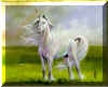 e105.jpg (28029 Byte)