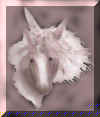 e126.JPG (14385 Byte)