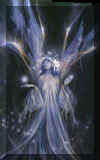 img11.jpg (47952 Byte)
