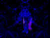 unbenannt1.jpg (10518 Byte)