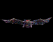 Fledermaus02.gif