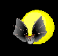 Fledermaus03.gif