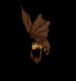 Fledermaus06.gif