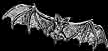 Fledermaus07.jpg