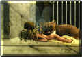 renata.jpg (163048 Byte)