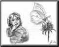 schmetterling.jpg (47647 Byte)