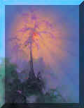 ci-pitre028.jpg (65031 Byte)