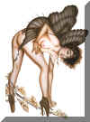 OBBkButterfly.jpg (102246 Byte)