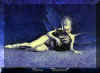 OBButterflyStardust.jpg (81221 Byte)