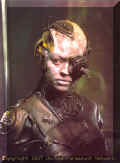 voyager_crew_seven3.jpg (43471 Byte)